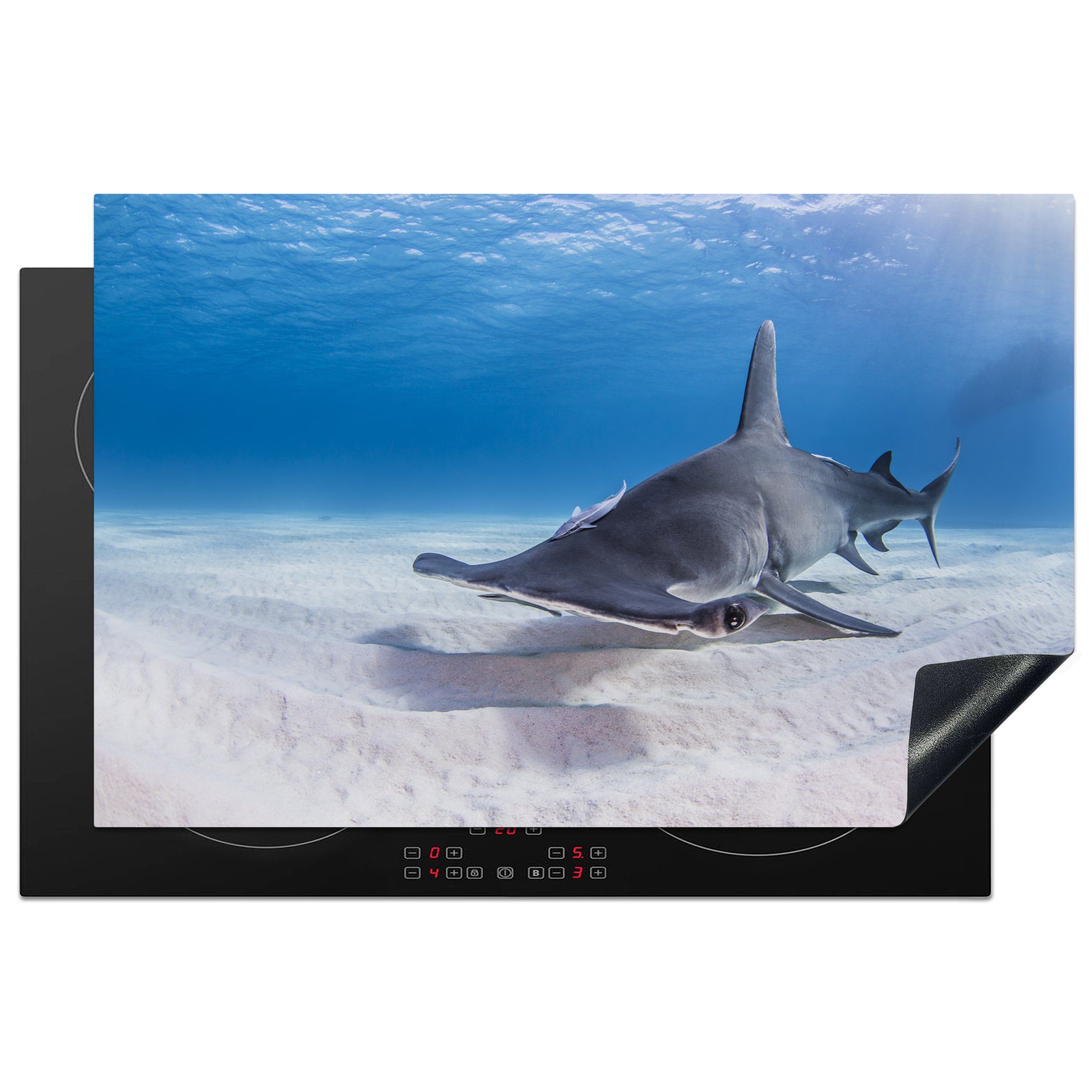 MuchoWow Herdblende-/Abdeckplatte Großer Hammerhai, der nahe am Meeresboden schwimmt, Vinyl, (1 tlg), 81x52 cm, Induktionskochfeld Schutz für die küche, Ceranfeldabdeckung