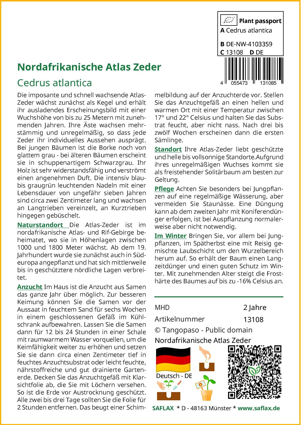 SAFLAX Blumensamen SAFLAX - Samen - Nordafrikanische Atlas Zeder günstig online kaufen