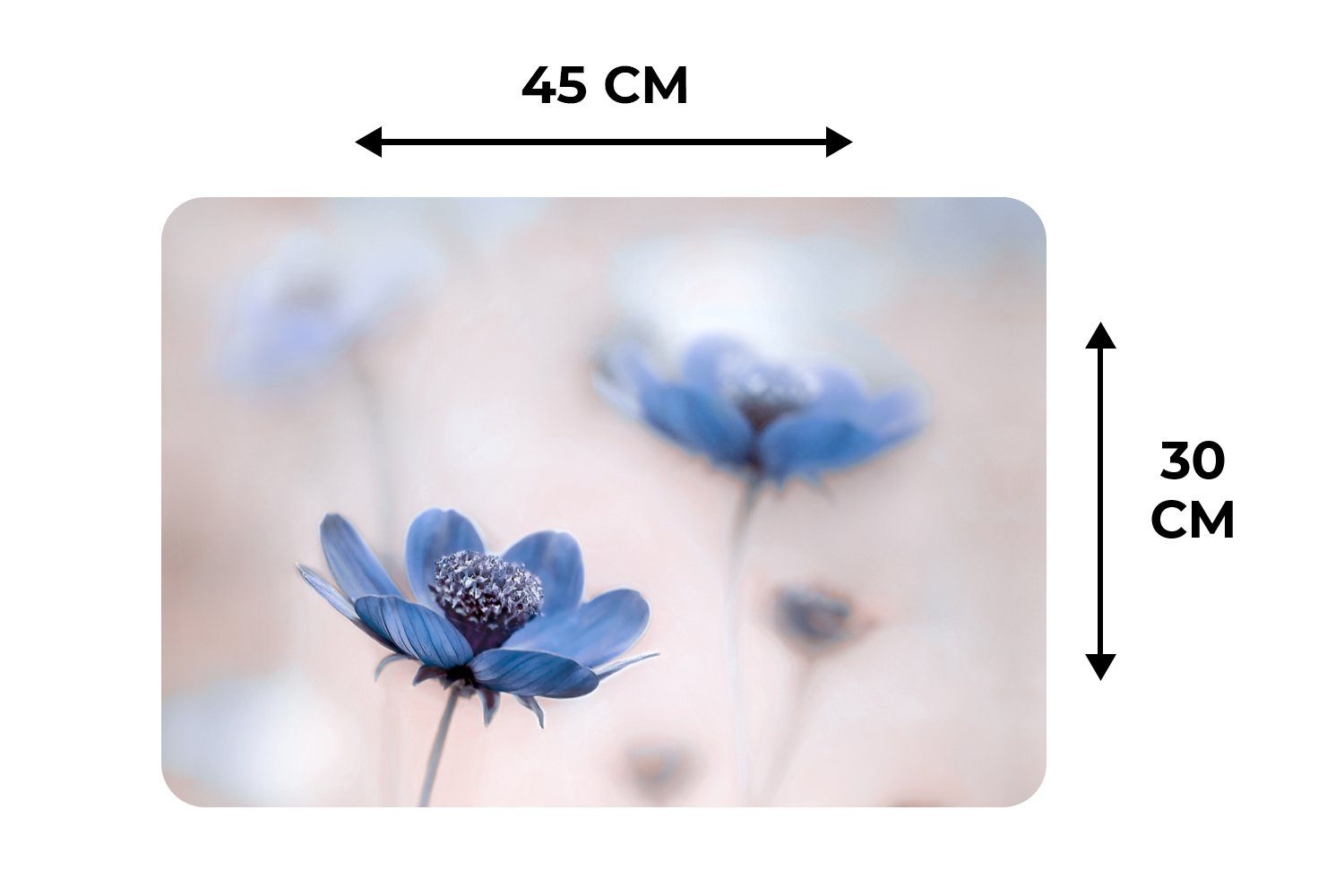 Kosmos - Platzset, Blau, - Schmutzabweisend Natur (6-St), Platzset, Blumen Tischmatten, Platzdecken, Platzmatte, - MuchoWow,