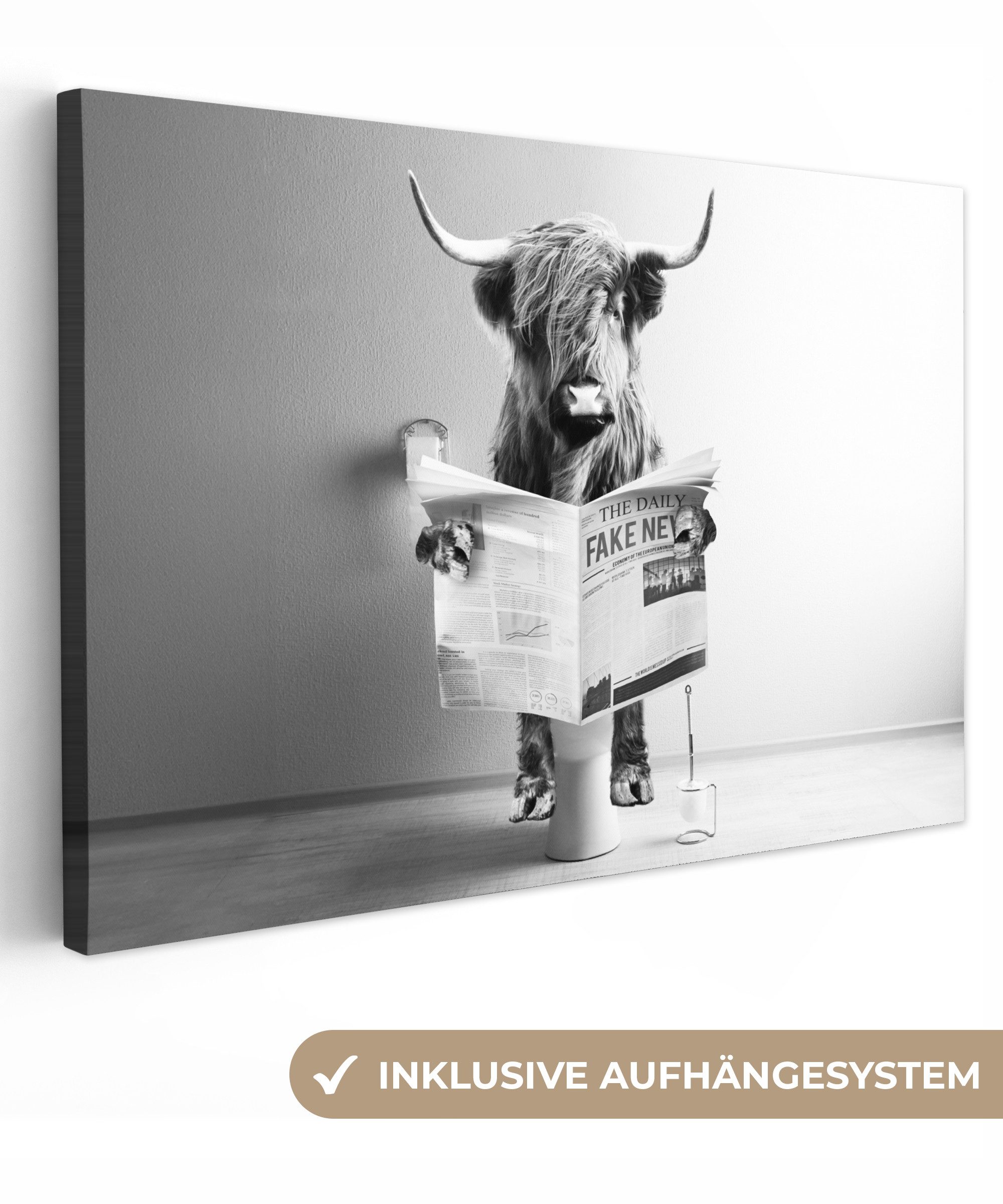 OneMillionCanvasses® Leinwandbild Schottischer Highlander - WC - Zeitung - günstig online kaufen