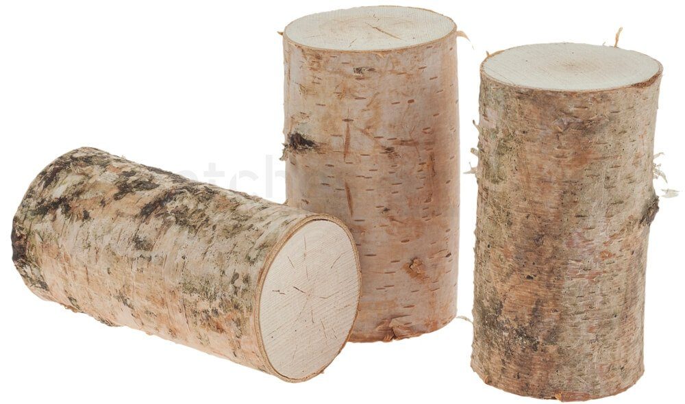 matches21 HOME & HOBBY Bastelnaturmaterial Birkenstämmchen für Basteln Deko in 5 x 10 cm, (1-tlg), Birken-Holz Naturmaterial Holz-Stamm für Basteln und Dekorieren