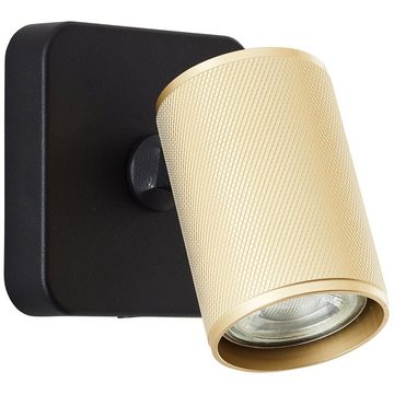 Lightbox Deckenleuchte, LED wechselbar, warmweiß, Wandspot schwenkbar, 12x10x10cm, GU10, 345lm, 3000K, schwarz/matt gold