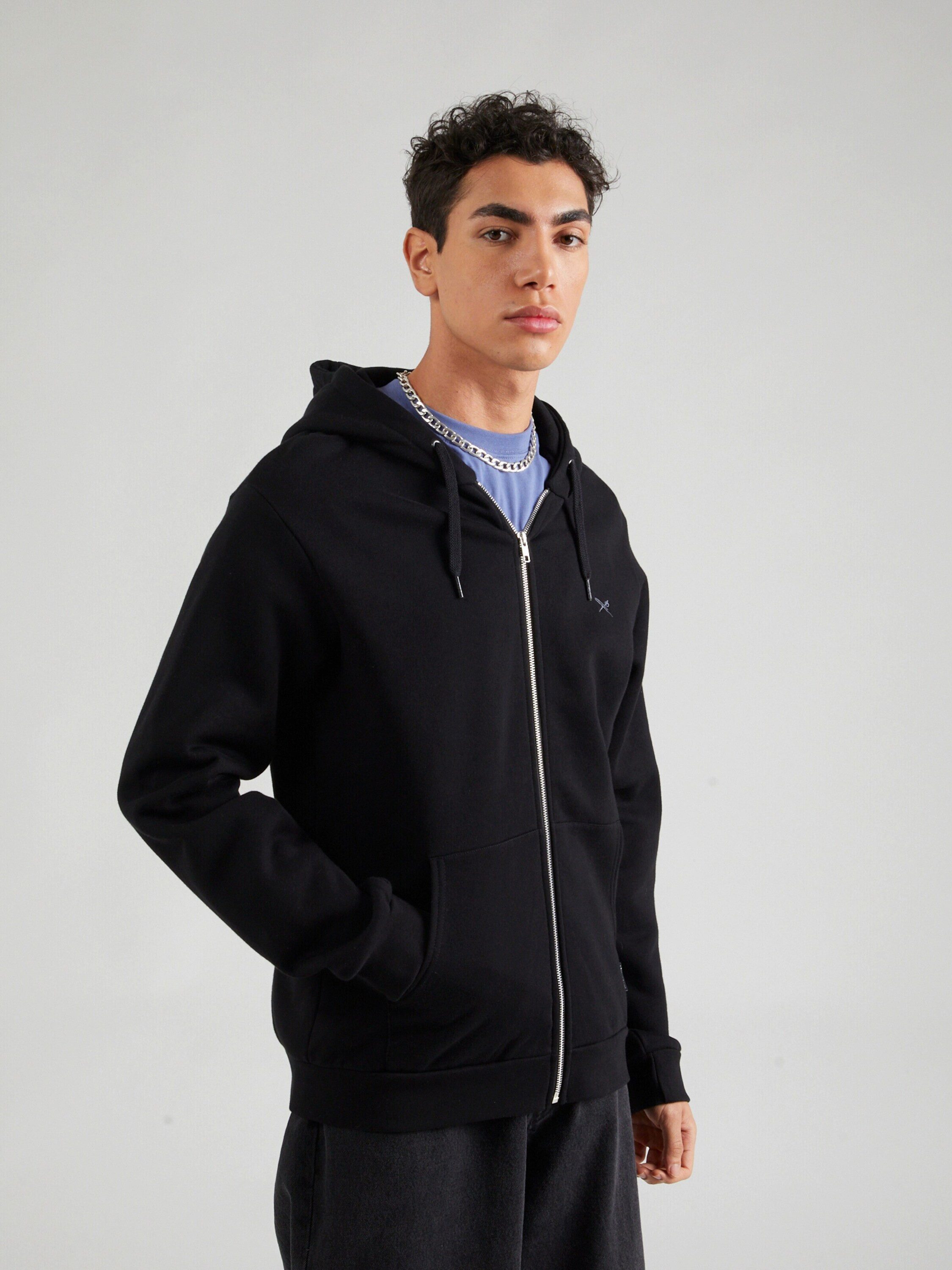 iriedaily Sweatjacke Mini Flag 2 (1-tlg) günstig online kaufen