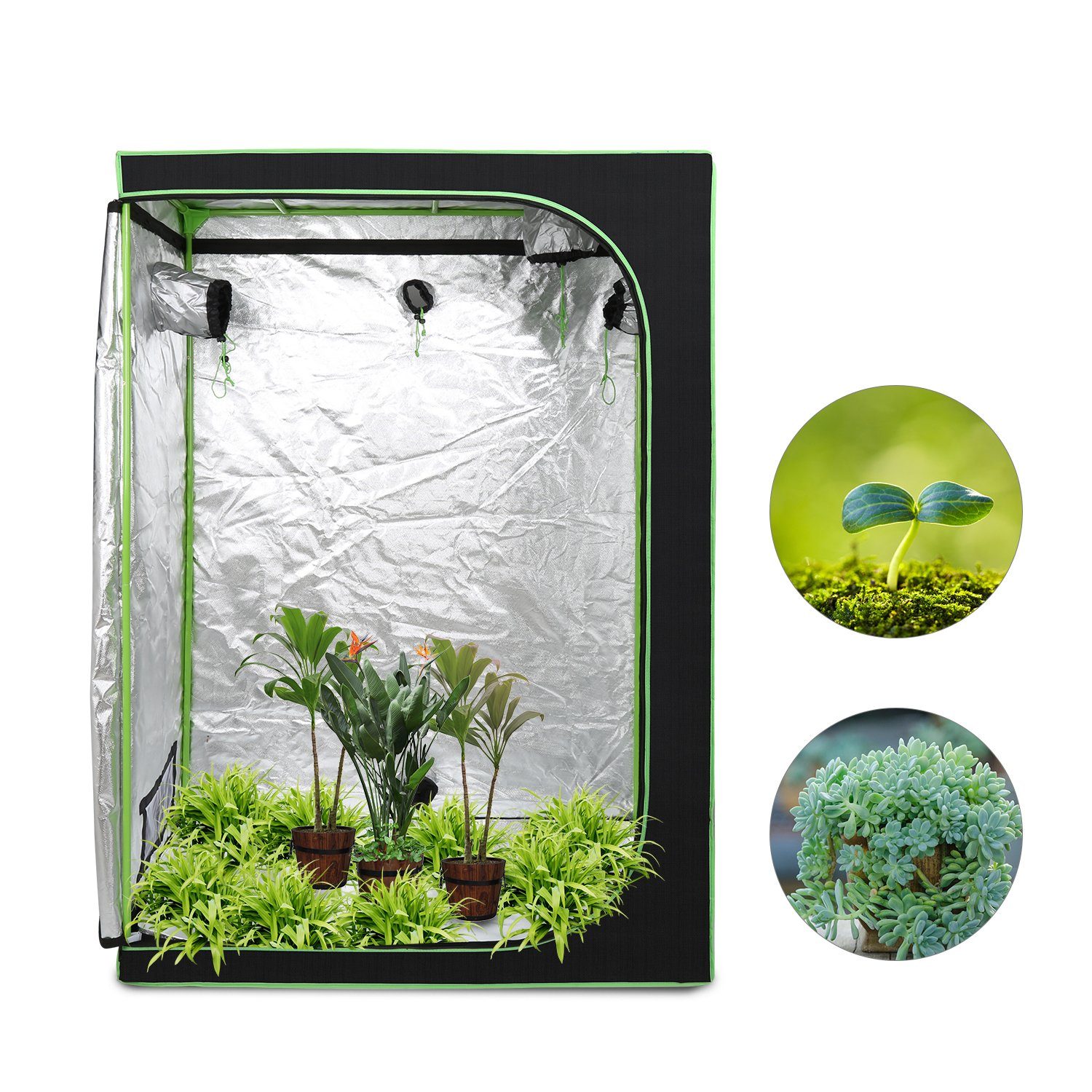 Randaco Gewächshaus Growzelt Growbox 120x60x180cm Indoor Pflanzenzelt Zuchtzelt, mit Sichtfenster, Regulierbare Belüftungsöffnungen, UV-Schutz, Langlebig