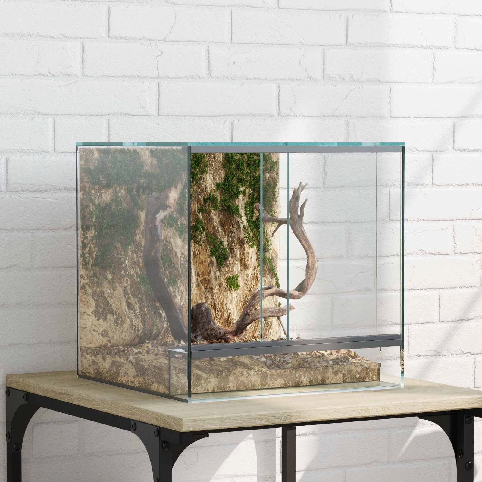 vidaXL Terrarium 30 x 30 x 30 cm Terrarium für Reptilien und Amphibien 30x30x30 cm aus