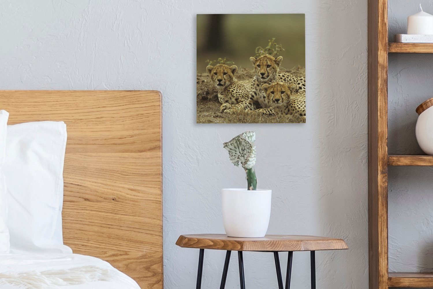 Gepardenjunge, Wohnzimmer Leinwand (1 Schlafzimmer Bilder Junge für OneMillionCanvasses® St), Leinwandbild