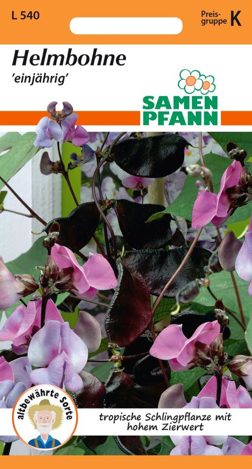 SAMEN PFANN Blumensamen Helmbohne, Dolichos lablab - Saatgut Samen, Dolichos Lablab