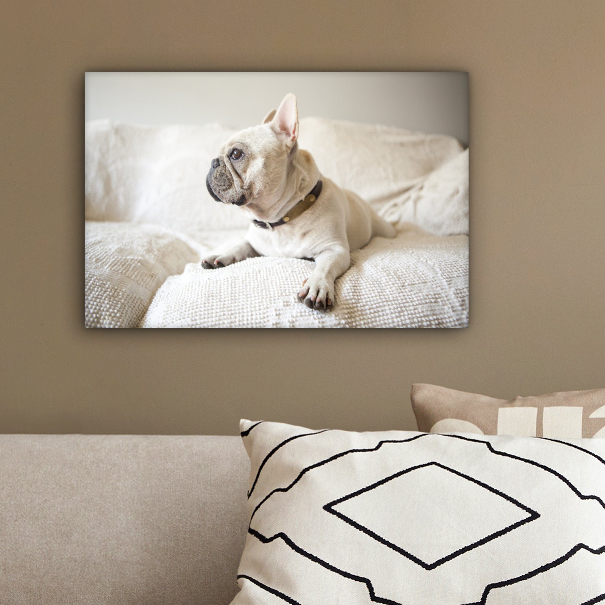 (1 Wanddeko, weiß cm Aufhängefertig, St), Leinwandbild OneMillionCanvasses® Bank, Leinwandbilder, Bulldogge Wandbild - - 30x20 Französische