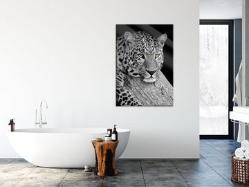 Pixxprint Glasbild ruhender Leopard, ruhender Leopard (1 St), Glasbild aus Echtglas, inkl. Aufhängungen und Abstandshalter