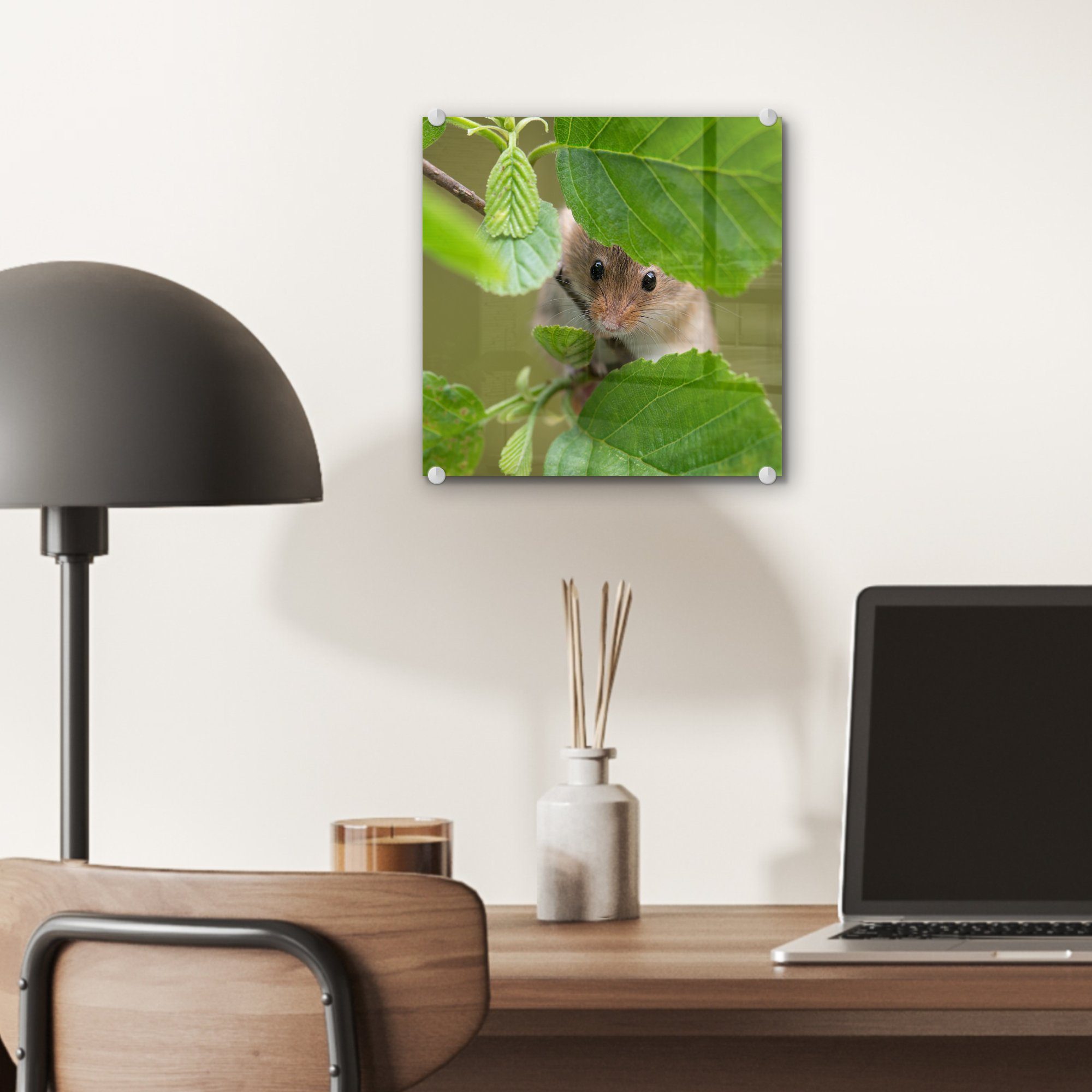 (1 Zwergmaus Glas auf Wanddekoration auf Acrylglasbild - - Blätter, - Glasbilder Glas - Bilder - St), Wandbild Foto MuchoWow Jungtiere