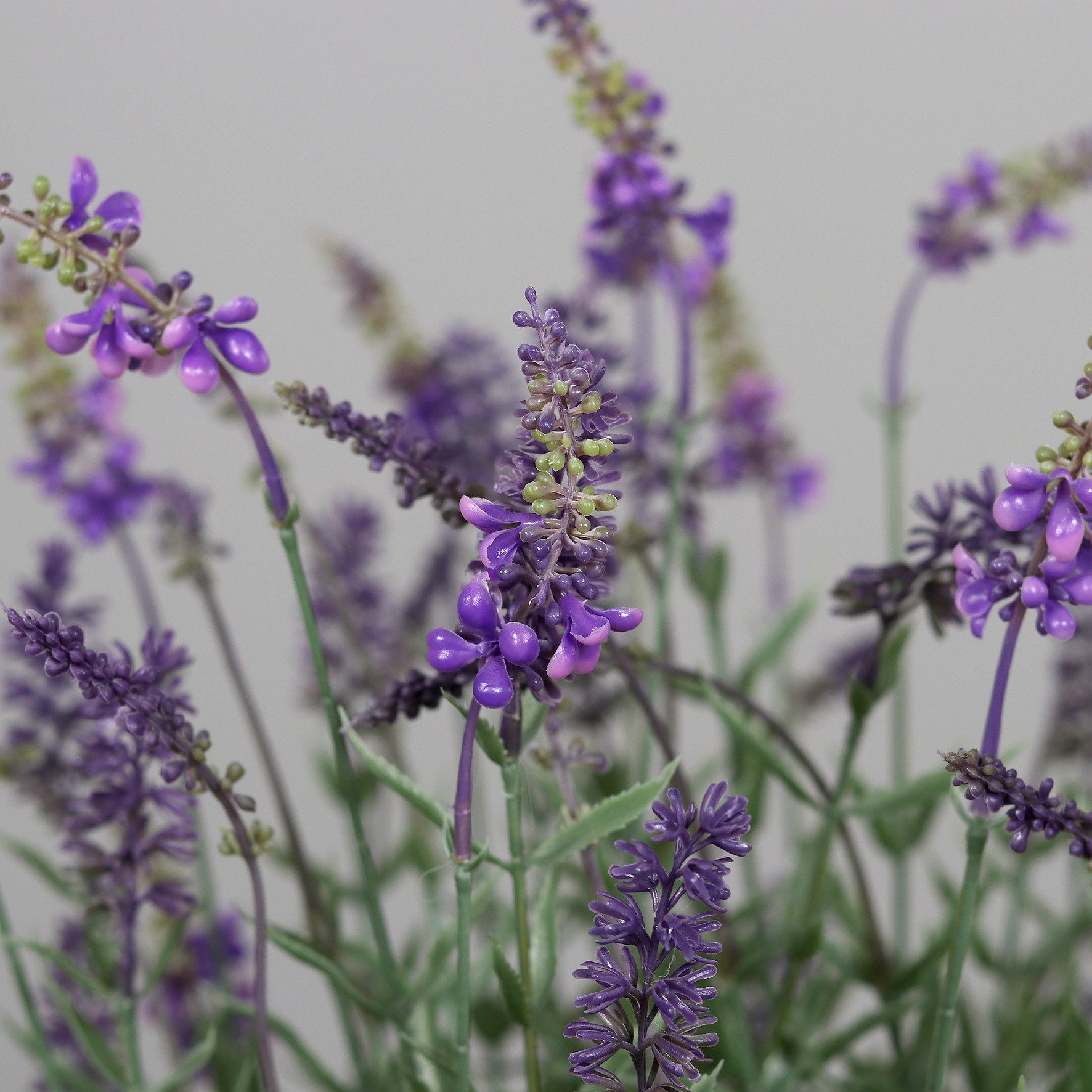 Kunstblume Lavendel in runder Dekoschale 48x42cm DP künstliche Pflanzen Blumen Lavendelschale, Seidenblumen Roß, Höhe 48 cm – Bild 2 von 4