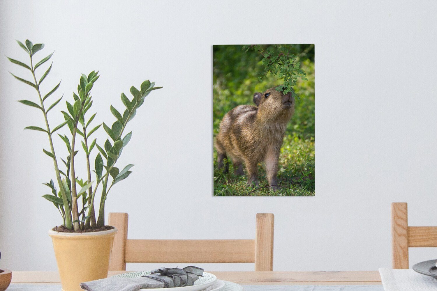 Leinwandbild grünen Blätter, Zackenaufhänger, frisst Ein Leinwandbild Wasserschweinbaby die cm Gemälde, bespannt OneMillionCanvasses® 20x30 inkl. (1 fertig St),
