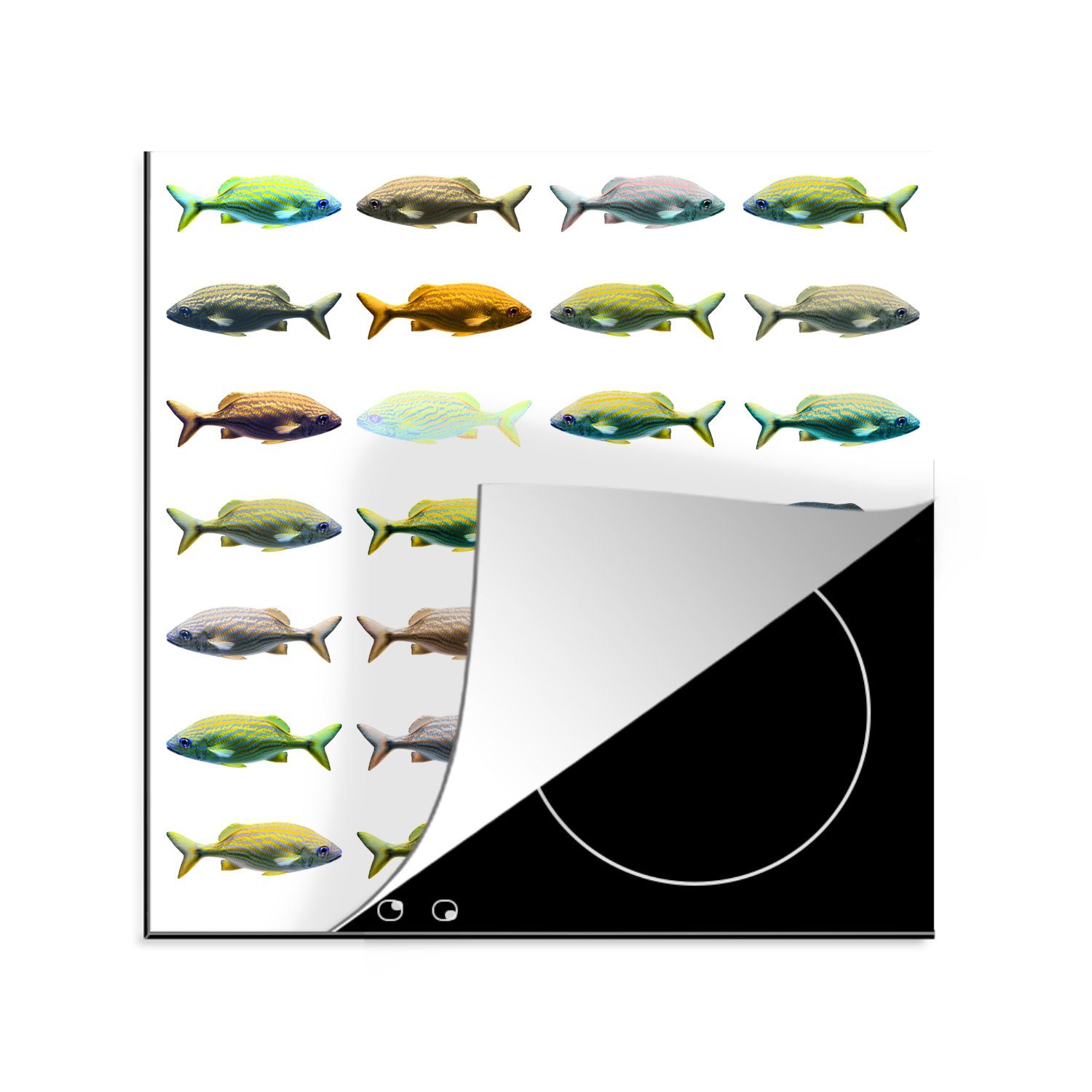 Muster, 78x78 Tiere tlg), Vinyl, cm, MuchoWow Ceranfeldabdeckung, Herdblende-/Abdeckplatte küche - (1 für - Arbeitsplatte Fische