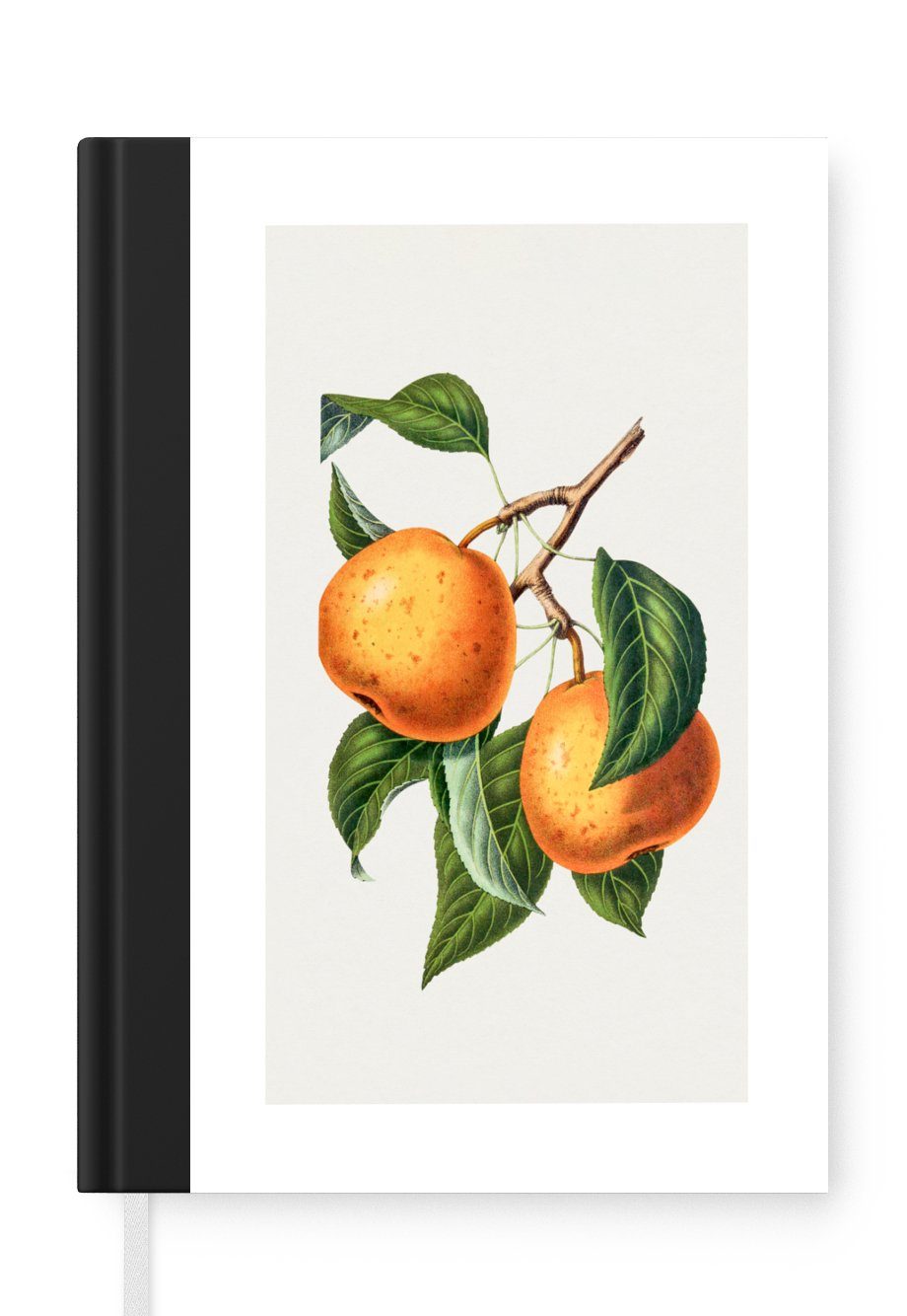 MuchoWow Notizbuch Lebensmittel - Orange - Obst, Journal, Merkzettel, Tagebuch, Notizheft, A5, 98 Seiten, Haushaltsbuch