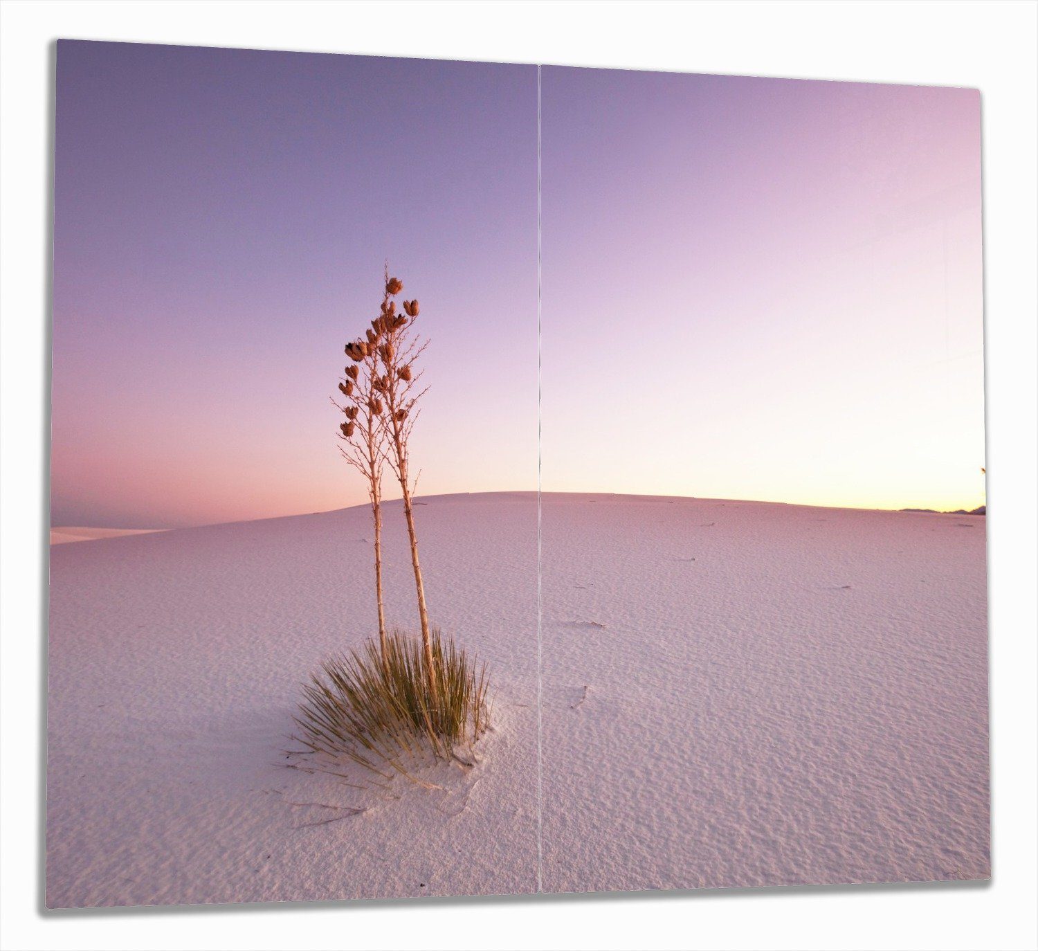 Wallario Herd-Abdeckplatte Kleine Oase in der Wüste, ESG-Sicherheitsglas, (Glasplatte, 2 tlg., inkl. 5mm Noppen), verschiedene Größen