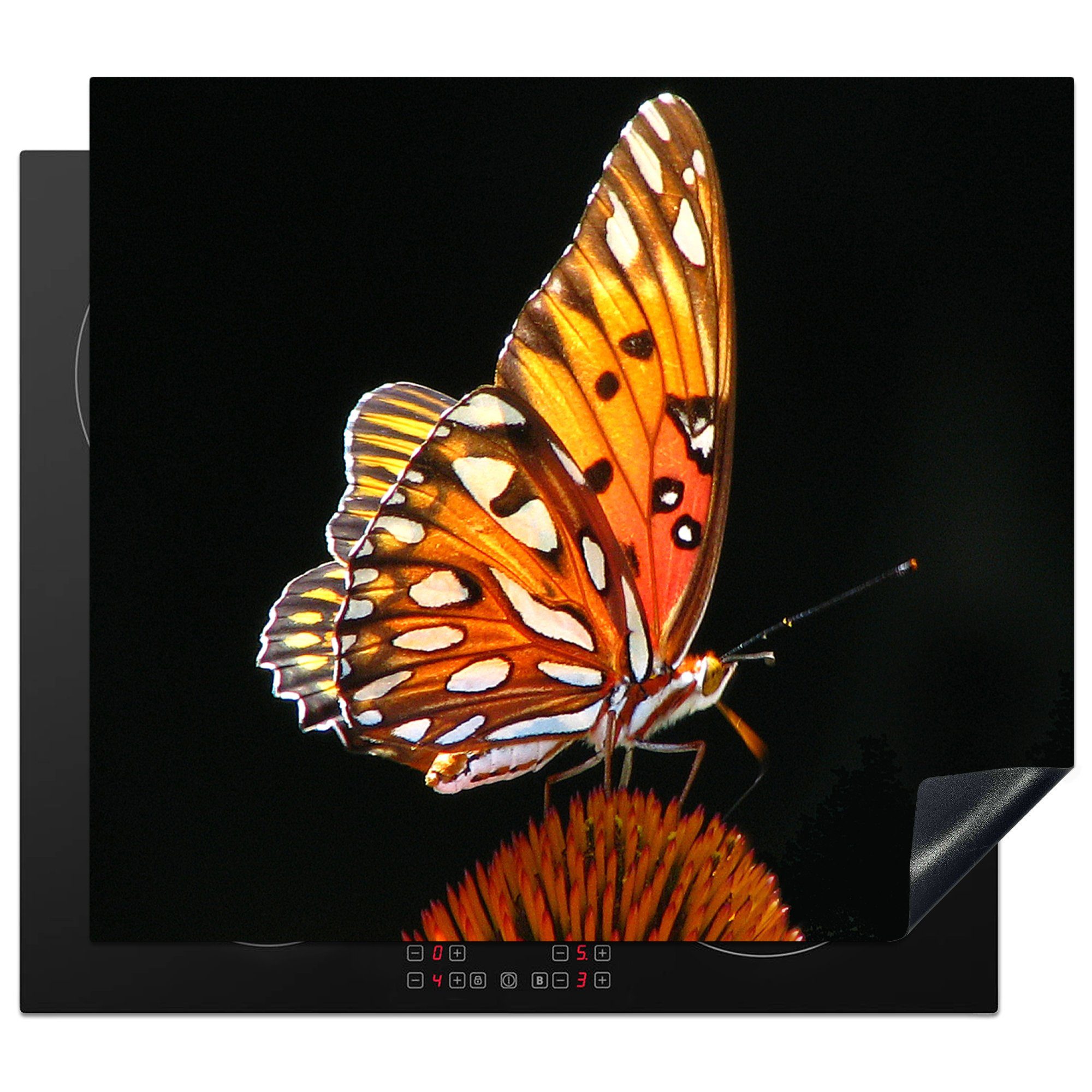 - - - (1 Induktionskochfeld, Ceranfeldabdeckung Schmetterling cm, Schwarz - Orange, Vinyl, tlg), - Induktionsschutz, 57x51 Blumen MuchoWow Herdblende-/Abdeckplatte Porträt Insekt