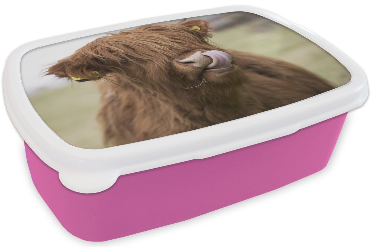 MuchoWow Lunchbox Schottischer rosa Braun Brotdose Snackbox, (2-tlg), Brotbox - Kuh, Highlander - für Kunststoff, Kinder, Kunststoff Erwachsene, Mädchen