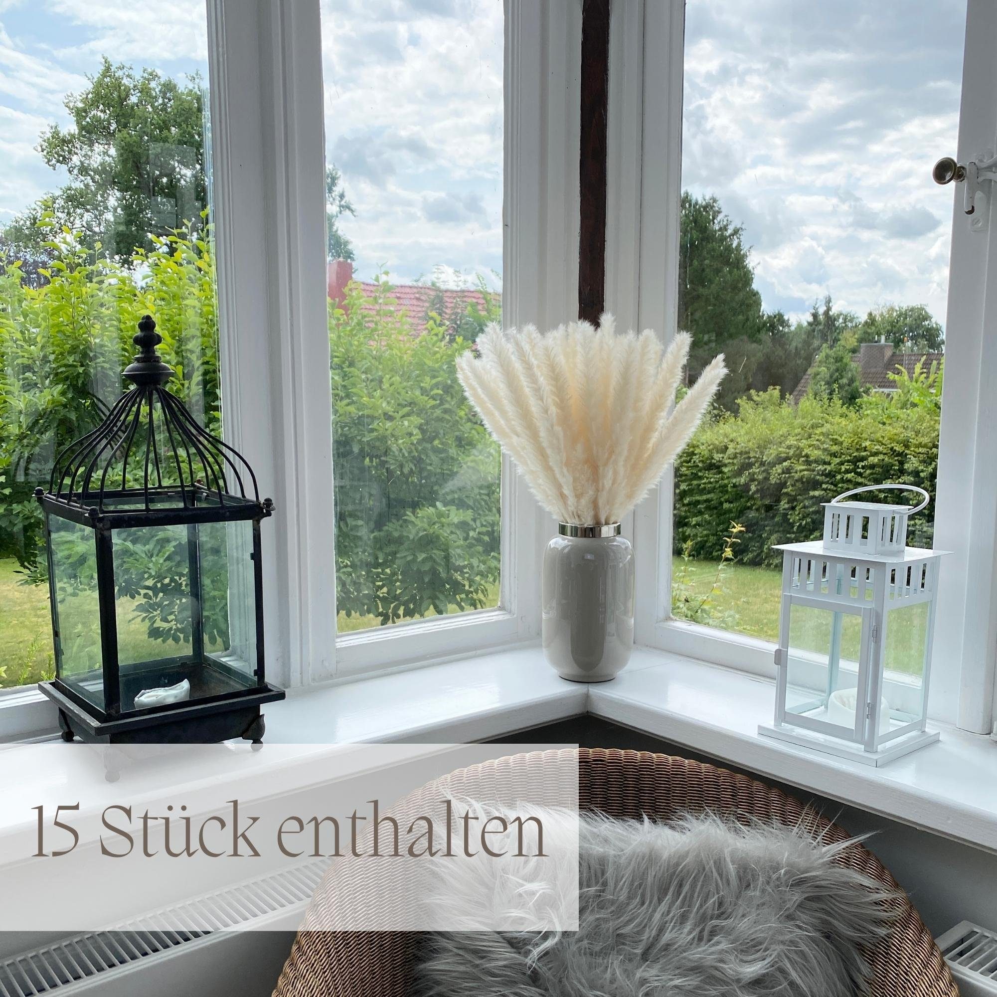 Trockenblume Trockenblume Pampasgras Deko weiß 45cm lang Trockenblumen, Nina-Maria's Deko Gold, Höhe 45 cm