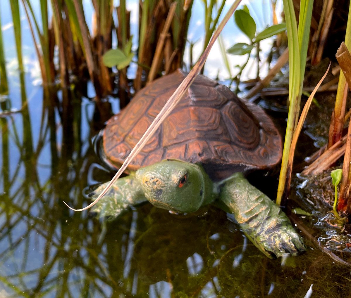 LB H&F Lilienburg Teichfigur Schildkröte Teichfigur Teichdeko Schwimmfigur Schwimmtier Miniteich, (Schwimmtier Miniteich Teich Fischteich Zinkwanne Gartenteich Dekoration Figur Teichfigur Gartendekoration Tier Aquarium teichbecken deko brunnen, zierteich