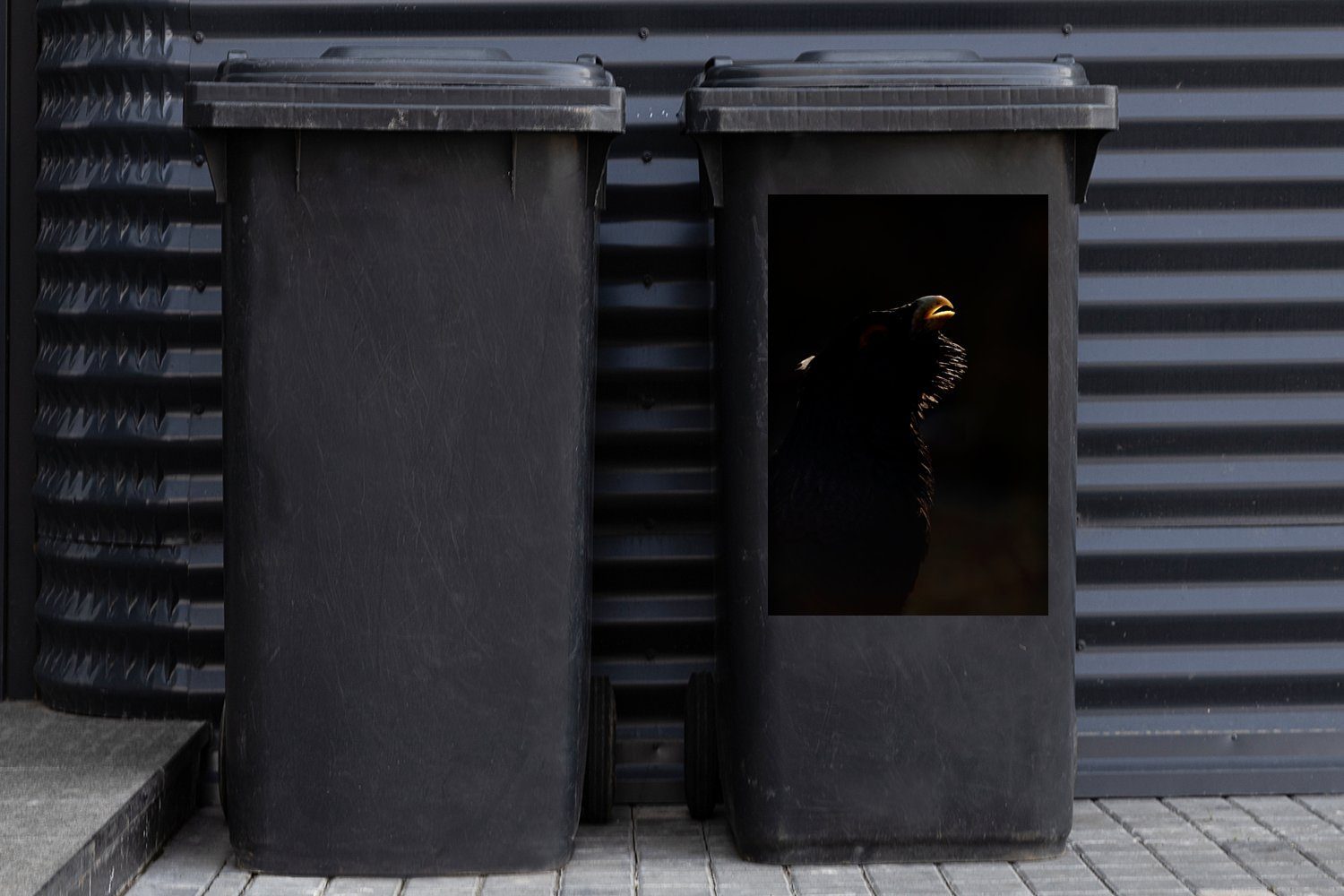 MuchoWow Wandsticker auf Container, Mülleimer-aufkleber, St), Mülltonne, Auerhahns eines Ein schwarzem Hintergrund Abfalbehälter (1 Sticker, Porträtfoto
