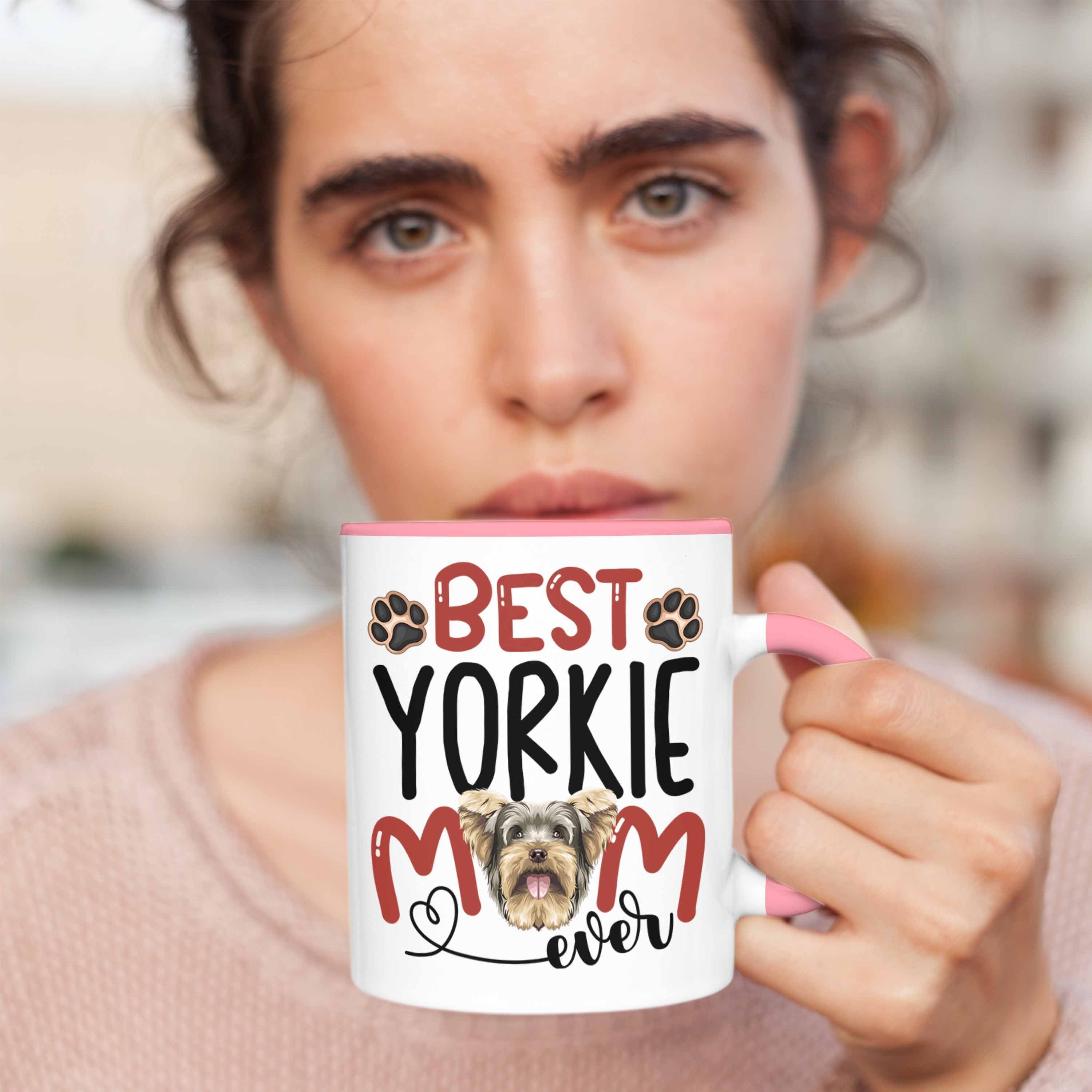 Besitzerin Rosa Geschenk Tasse Spruch Lustiger Tasse Trendation Mom Besi Yorkie Geschenkidee