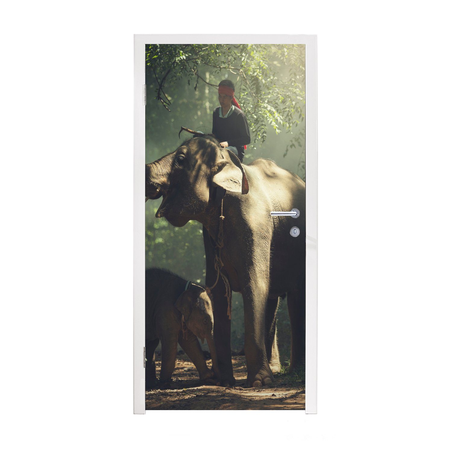 Bäume St), Wald Trainer, cm - - Tiere MuchoWow Türtapete (1 Matt, - für Fototapete Türaufkleber, bedruckt, Tür, Elefant - 75x205