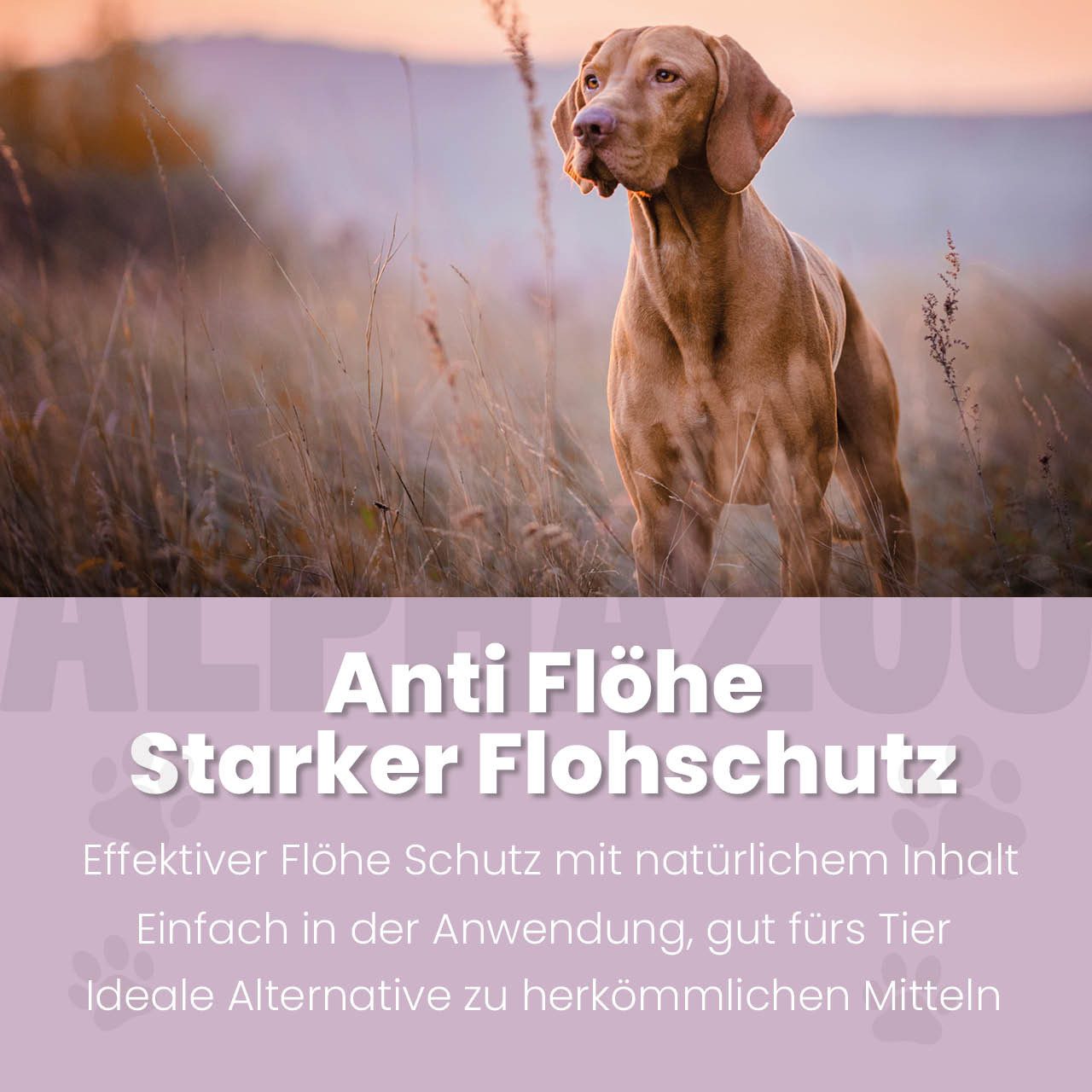 ALPHAZOO Zeckenschutzmittel ByeByeVloh Flohspray Hunde 100ml, 100 ml, Gegen Flohbisse, Flohstiche, Flöhe, Floh