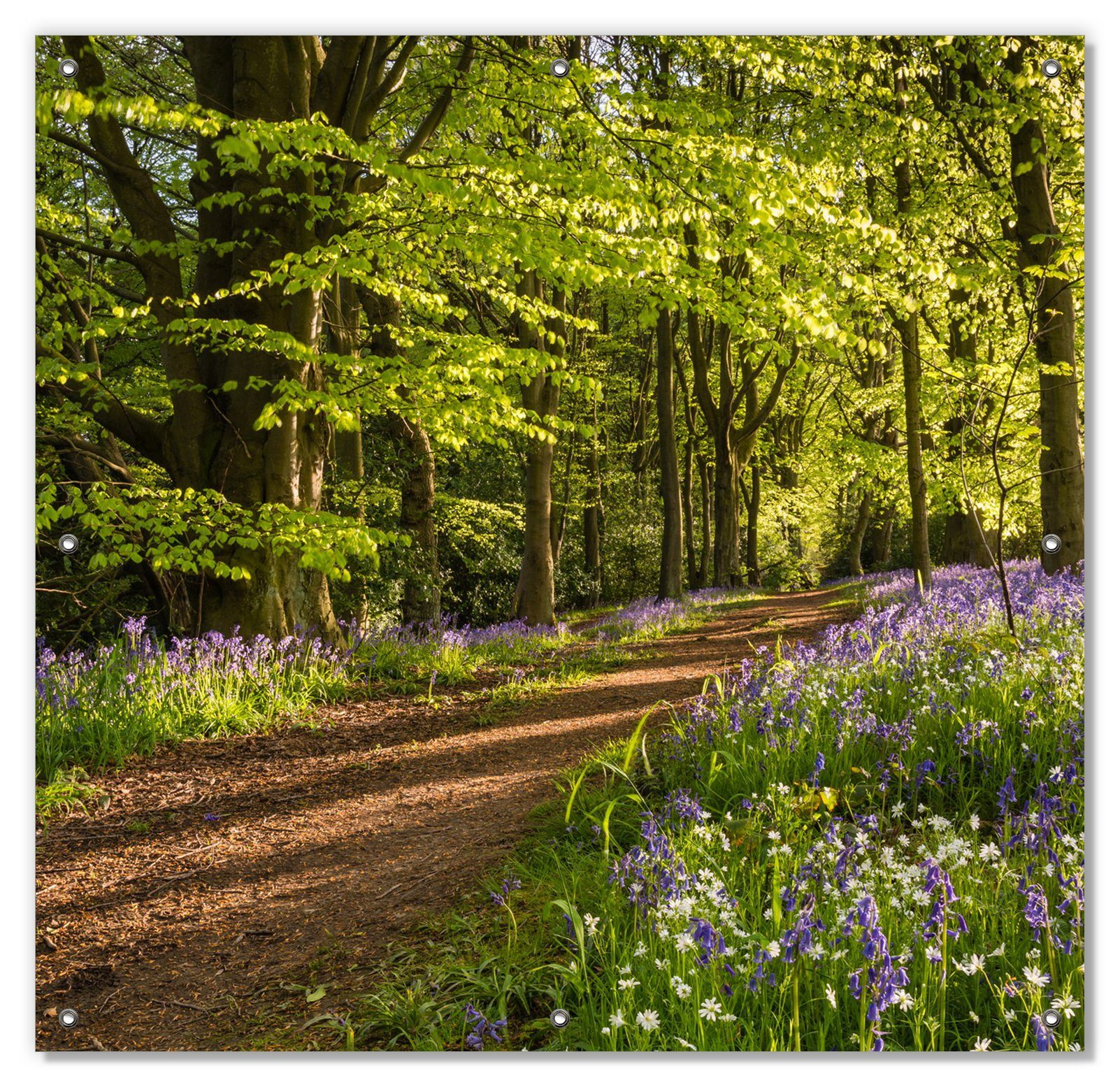 Sonnenschutz Blaues Hasenglöckchen im Wallario, mit und Saugnäpfen, Sommerwald, blickdicht, wiederablösbar wiederverwendbar