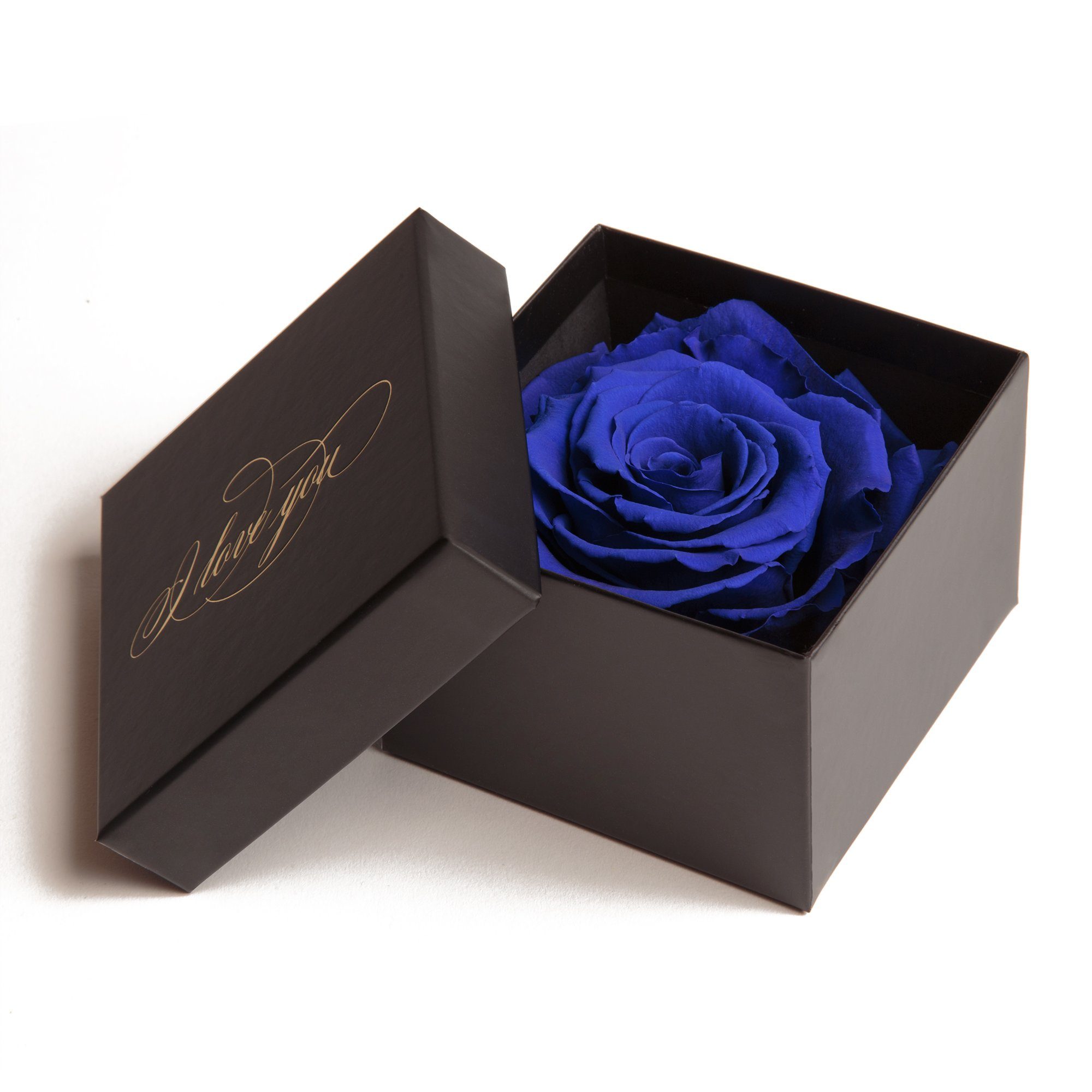 Blau Rose, Box Echte Liebesbeweis Love Kunstblume Idee konserviert ROSEMARIE 6 I SCHULZ Rose You Heidelberg, Geschenk Höhe Infinity cm, Rose