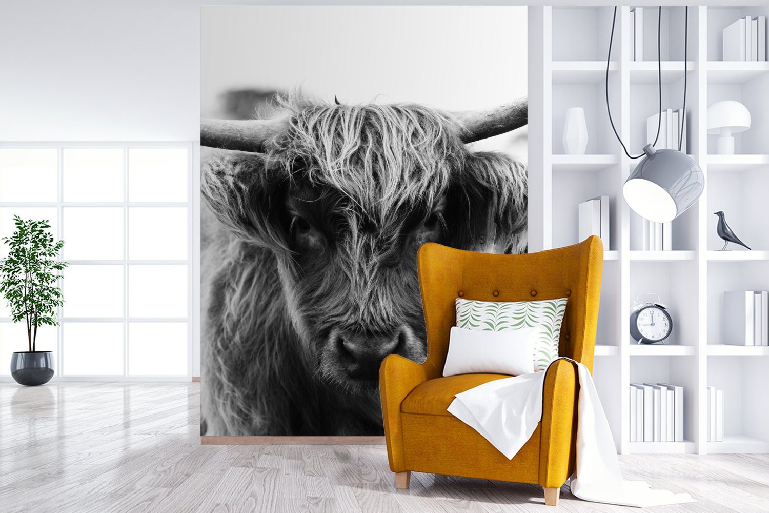 Fototapete St), Wandtapete Tiere - Wohnzimmer, Tapete Natur, bedruckt, für (4 - Schottischer Montagefertig Vinyl MuchoWow - Matt, - Kuh Highlander Gras