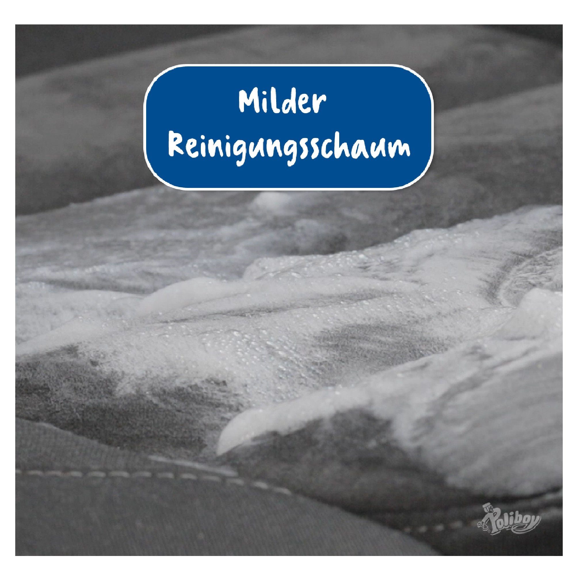 für - - (Reiniger Germany) - poliboy Polsterreiniger Liter in Made Teppichreiniger und Polster 2,5 Teppiche