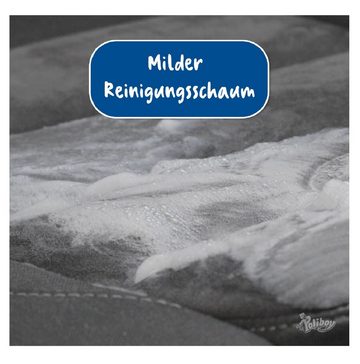 poliboy Teppichreiniger - 2,5 Liter - Polsterreiniger (Reiniger für Polster und Teppiche - Made in Germany)