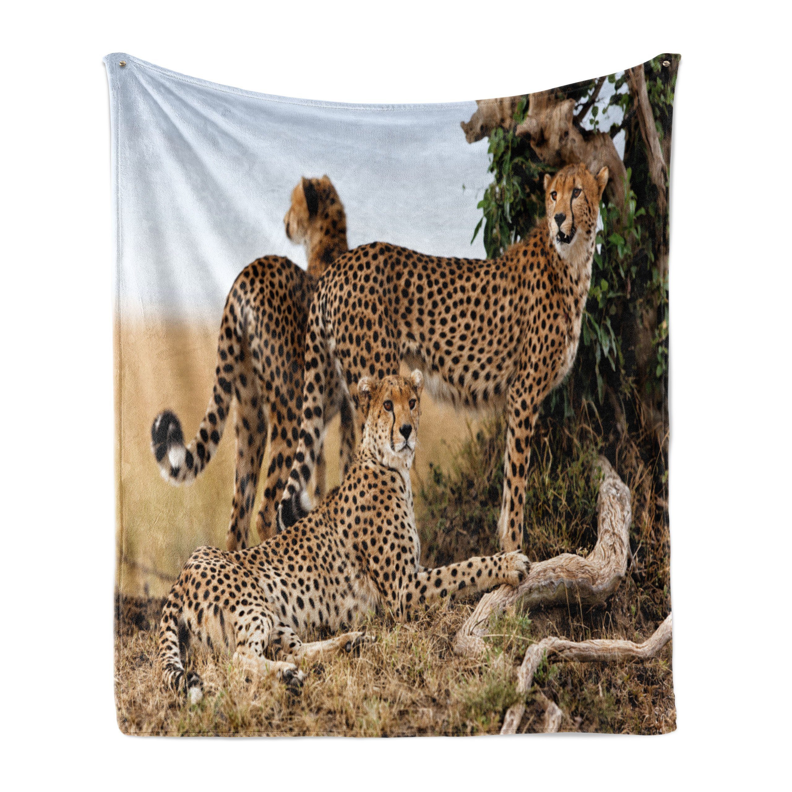 Innen- Gemütlicher und Außenbereich, für den Cheetahs Plüsch Safari-Tier Wohndecke Abakuhaus, Tierwelt
