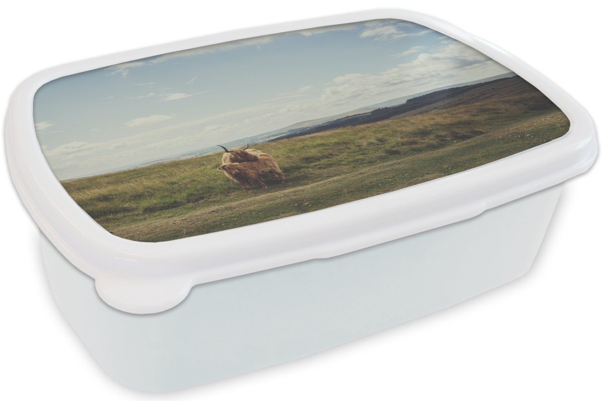 MuchoWow Lunchbox Schottische für Mädchen Brotdose, Gras - - - (2-tlg), Jungs und weiß Wolken und Kinder Brotbox Tiere, Highlander für Erwachsene, Kunststoff