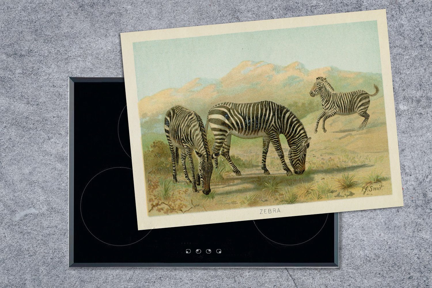 MuchoWow Herdblende-/Abdeckplatte Zebra - nutzbar, Antiquitäten 70x52 Mobile Arbeitsfläche cm, tlg), Vinyl, Ceranfeldabdeckung - (1 Illustration