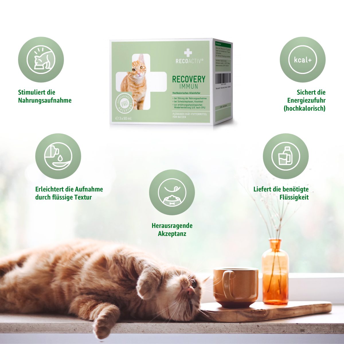 RECOACTIV Recovery Immun Tonicum, Ergänzungsfuttermittel für: Katze