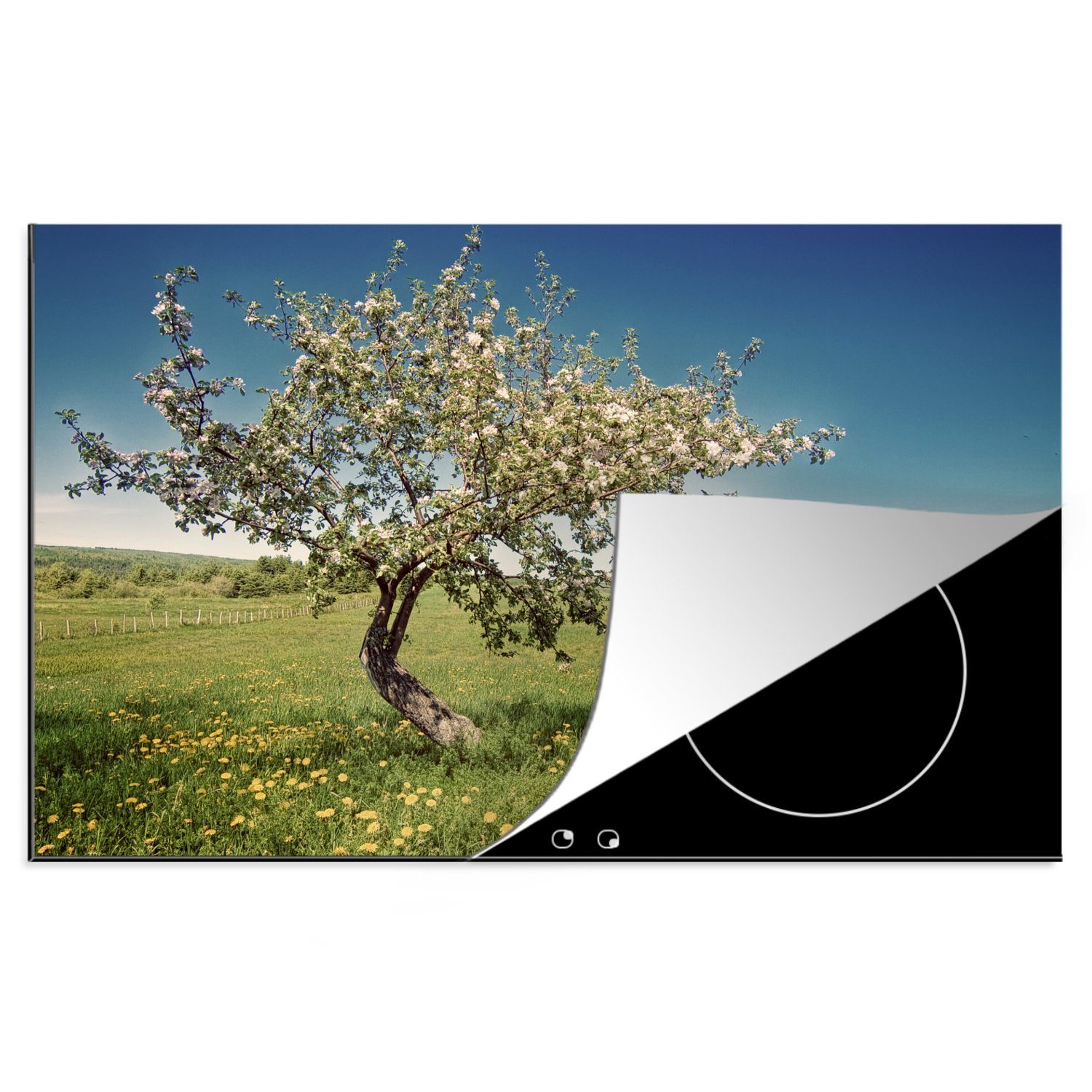 MuchoWow Herdblende-/Abdeckplatte Apfelbaum - Frühling - Blumen, Vinyl, (1 tlg), 81x52 cm, Induktionskochfeld Schutz für die küche, Ceranfeldabdeckung