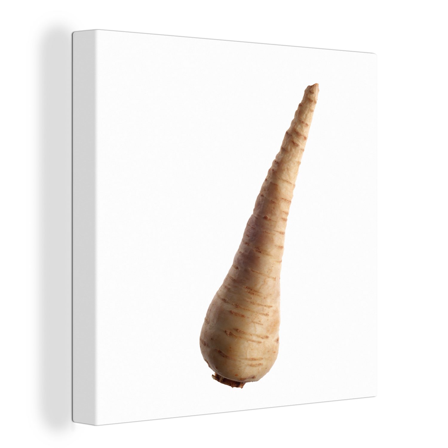 OneMillionCanvasses® Leinwandbild Pastinake mit dem Verschluss nach unten vor einem weißen Hintergrund, (1 St), Leinwand Bilder für Wohnzimmer Schlafzimmer