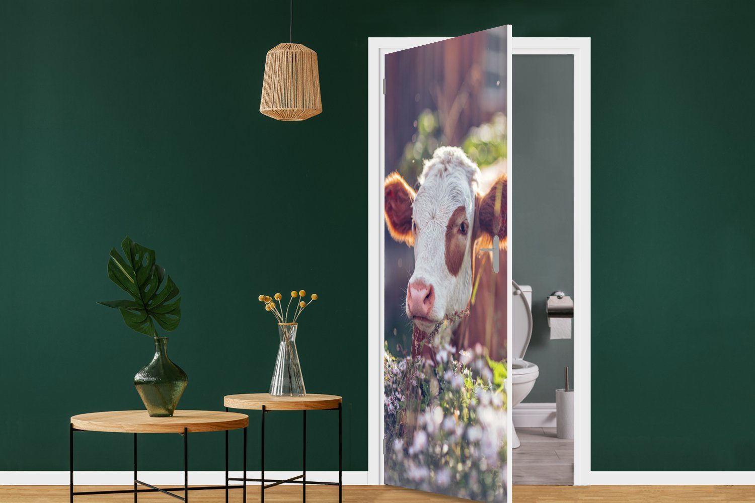 Tür, MuchoWow Blumen bedruckt, St), - 75x205 Türtapete Fototapete Türaufkleber, (1 Kuh Licht, - für Matt, cm