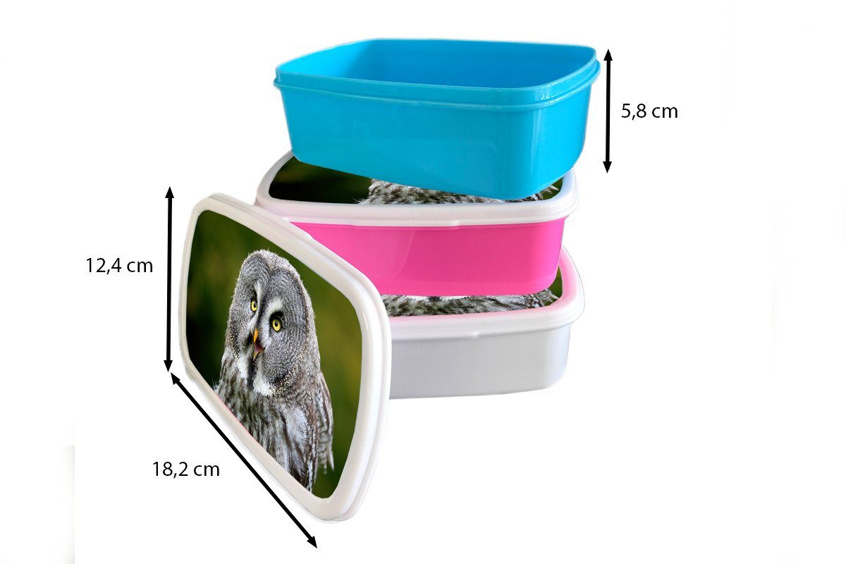 MuchoWow Vogel Jungs und weiß Brotbox - Erwachsene, Mädchen (2-tlg), Kunststoff, Kinder und - Lunchbox Brotdose, für Grau, Eule für