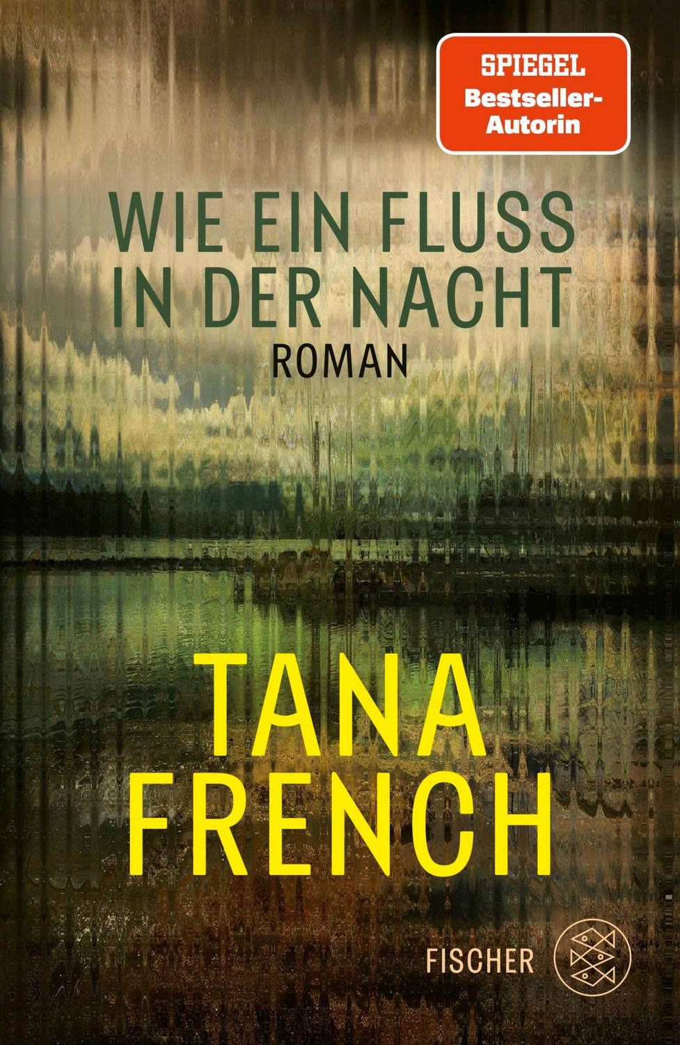 Wie ein Fluss in der Nacht / Tana French