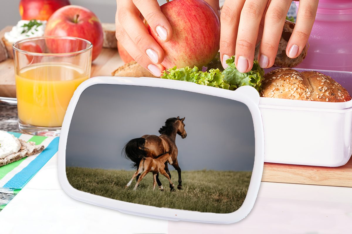 Lunchbox Brotbox Pferde für MuchoWow Mädchen - weiß Kinder - Jungs Kunststoff, Brotdose, Fohlen, Tiere und Erwachsene, (2-tlg), für und