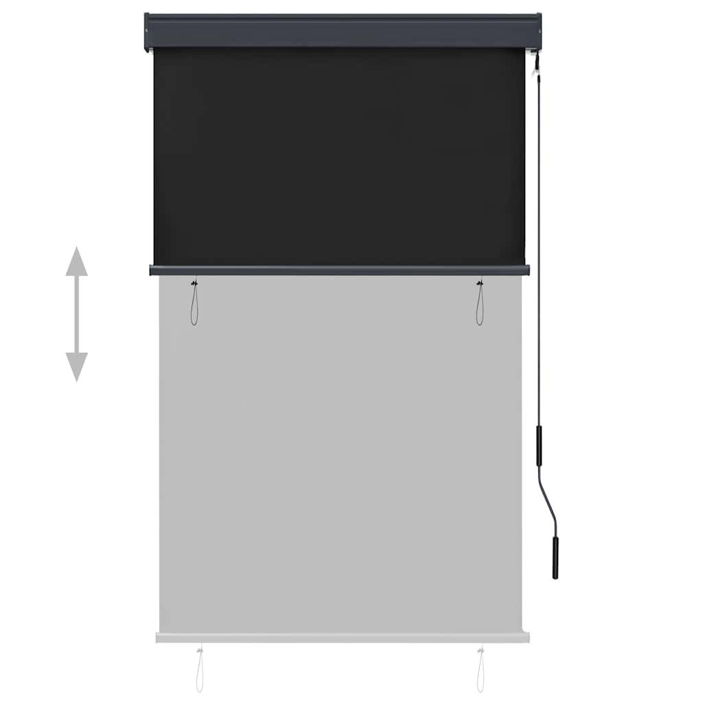 Rollo Außenrollo 100 x 250 cm Anthrazit, vidaXL