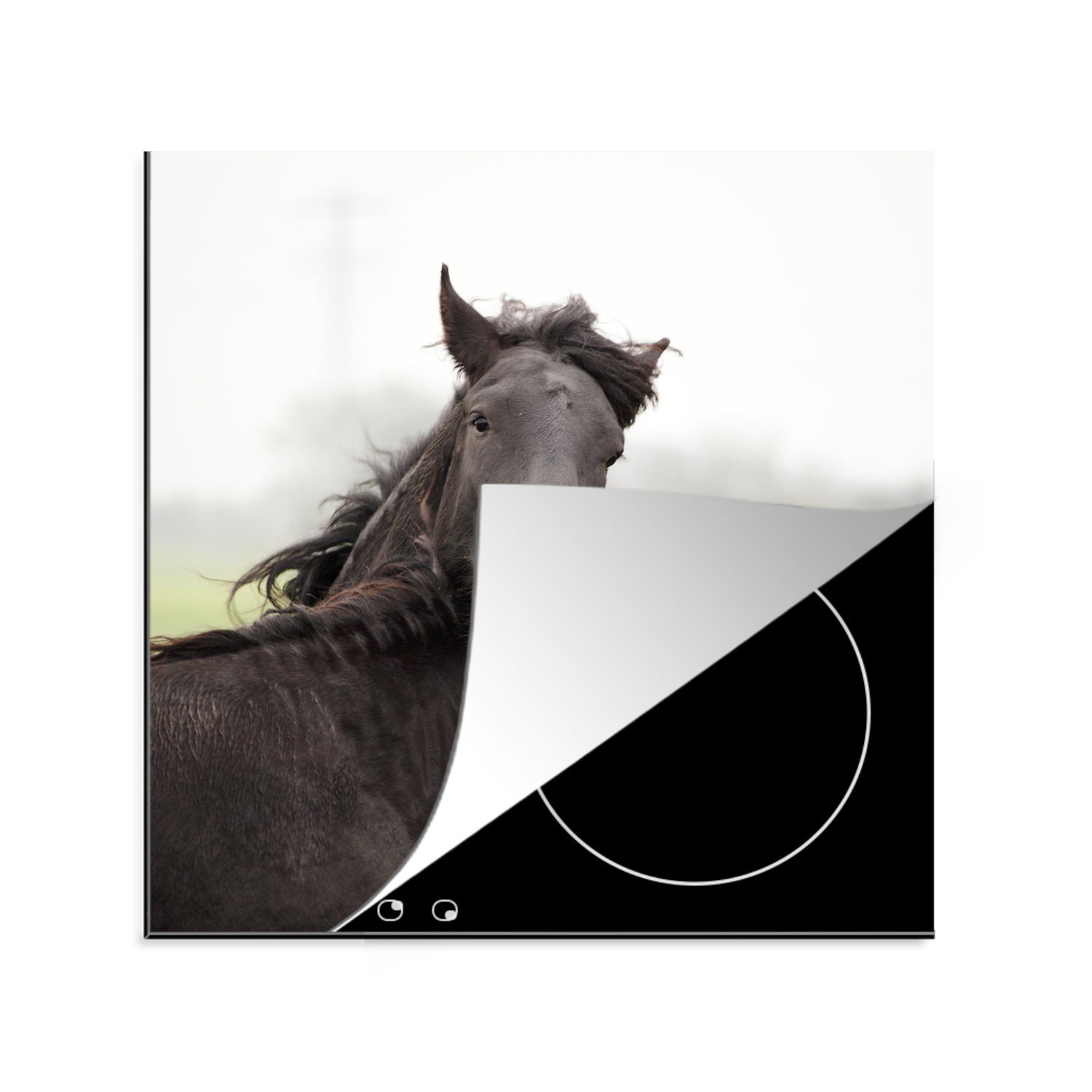 MuchoWow Herdblende-/Abdeckplatte Pferde - Schwarz - Gras, Vinyl, (1 tlg), 78x78 cm, Ceranfeldabdeckung, Arbeitsplatte für küche