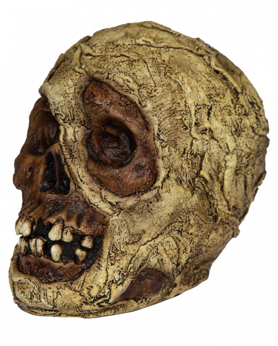 Dekoobjekt Verrotteter Mumien Totenkopf aus Latex 18cm