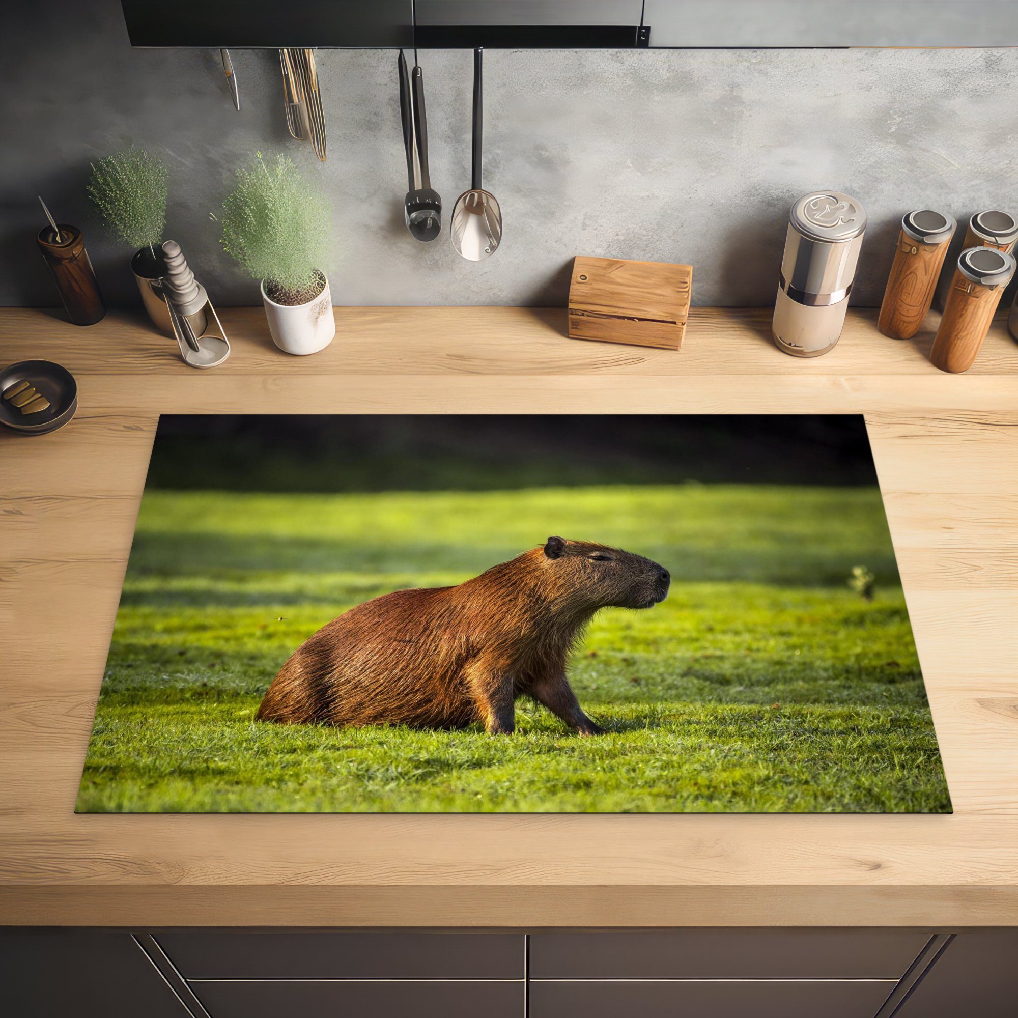 81x52 Schutz Vinyl, die Ceranfeldabdeckung Capybara, Goldene küche, dem (1 Sonnenstrahlen cm, Herdblende-/Abdeckplatte tlg), für Induktionskochfeld MuchoWow über