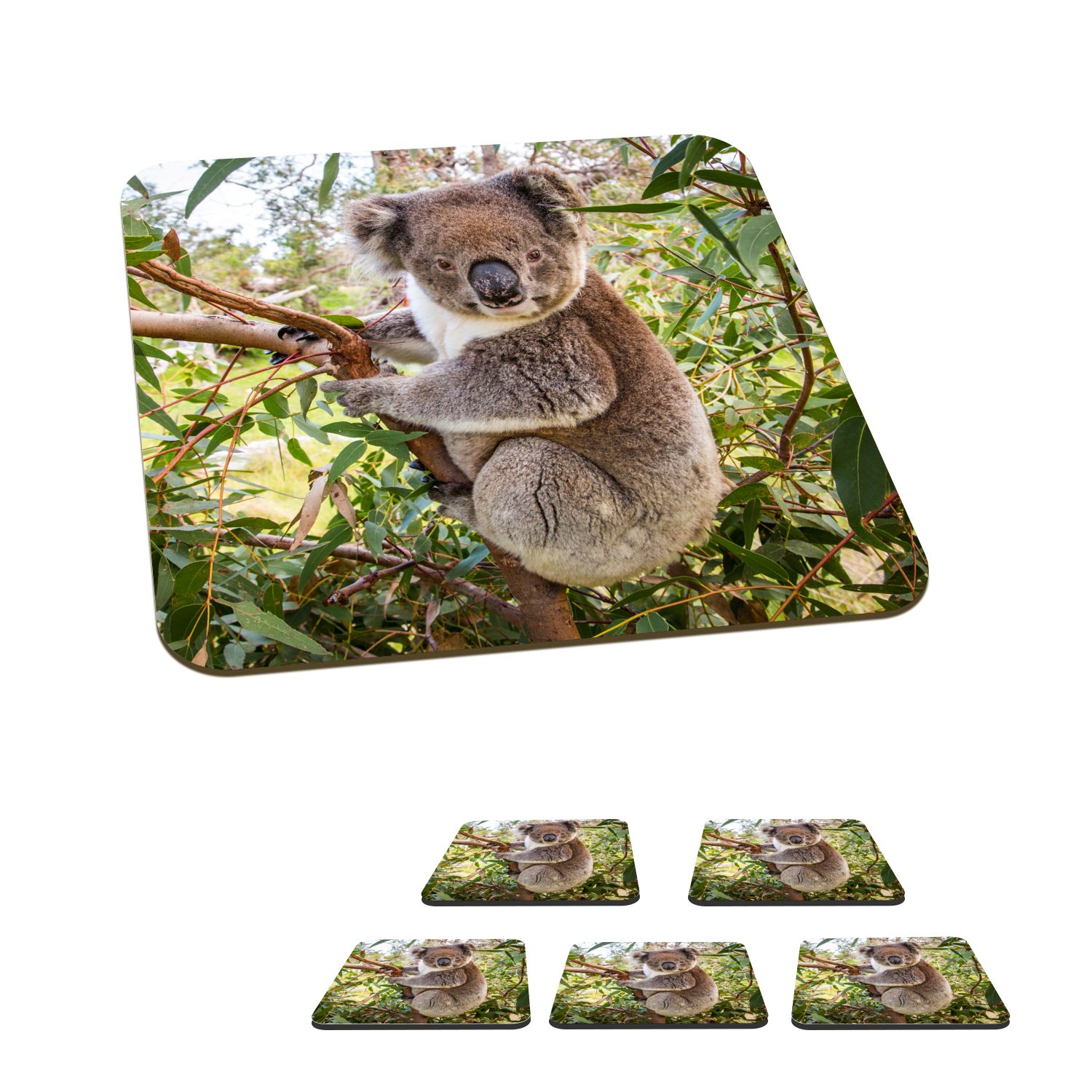 Koala Zubehör Tasse Gläser, Mädchen, Glasuntersetzer 6-tlg., Kinder Korkuntersetzer, - Untersetzer, Jungen Glasuntersetzer, Tischuntersetzer, MuchoWow - - für Blätter -