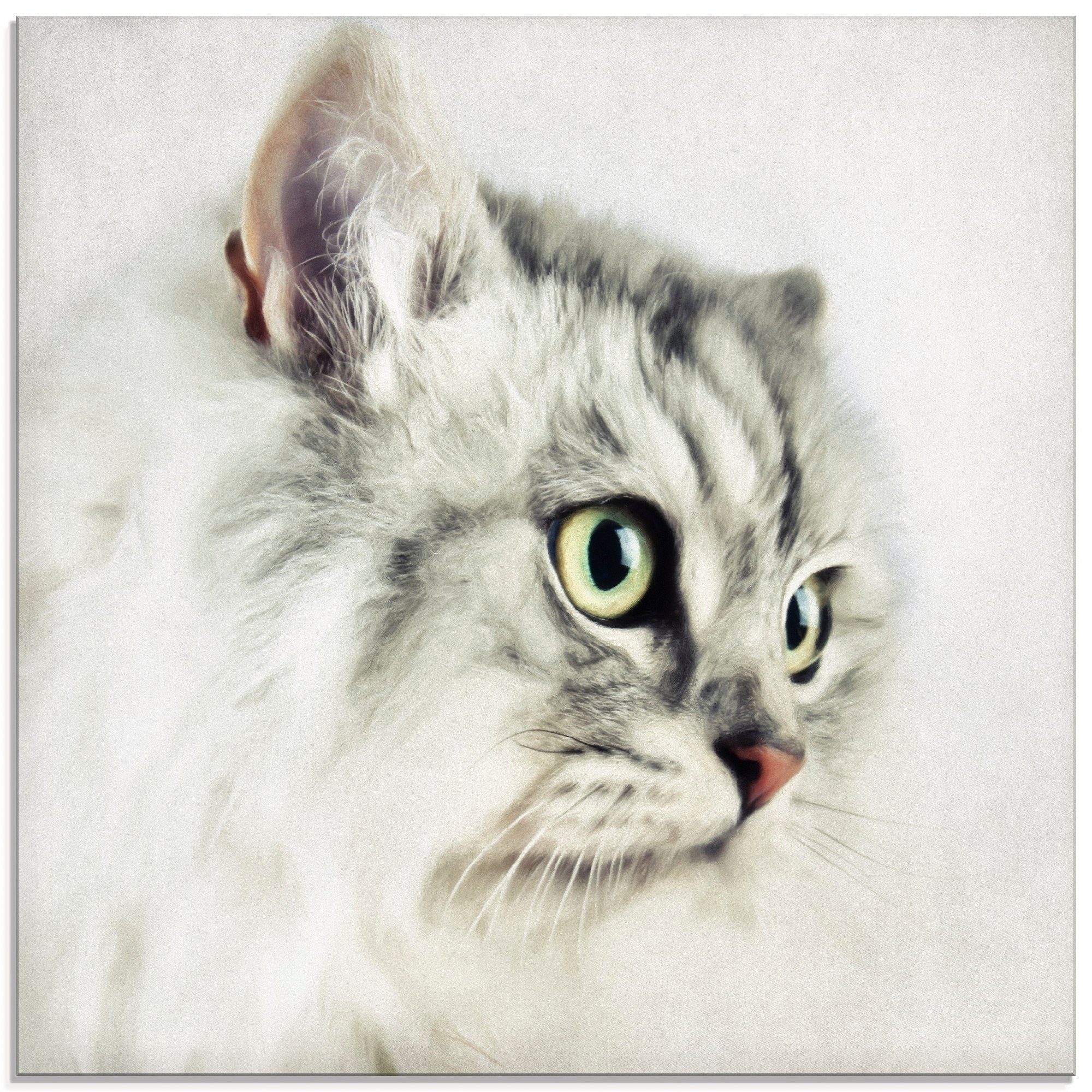 Artland Glasbild Katzenporträt weiß, Haustiere (1 St), in verschiedenen Größen | Bilder