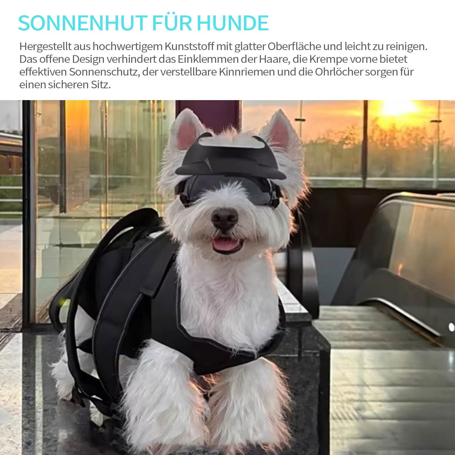 Refttenw Hundekostüm Verstellbare Haustierbrille,Hutset,Sonnenschutz,Haustierzubehör