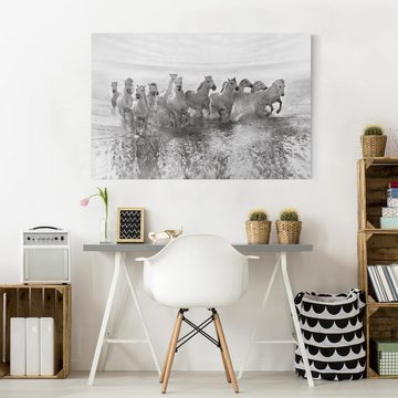Bilderdepot24 Leinwandbild Tiere Strand Weiße Pferde Meer schwarz weiss Bild auf Leinwand XXL, Bild auf Leinwand; Leinwanddruck in vielen Größen